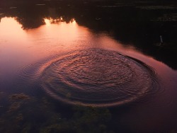 pulsatory:  I stayed up all night one day during the summer and went on a walk to the pond to watch the sunrise. I miss this. 