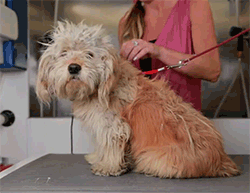 huffingtonpost:  This makeover literally saved Charlie’s live. See the full video