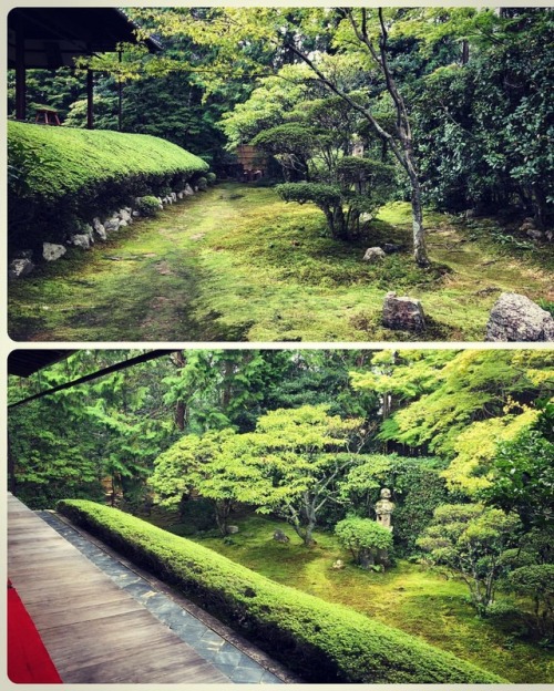 ＼おにわさん更新情報／ ‪[ 京都市右京区 ] 妙心寺 桂春院庭園 Myoshin-ji Temple Keishun-in Garden, Kyoto の写真・記事を更新しました。 ーー小堀遠州の弟