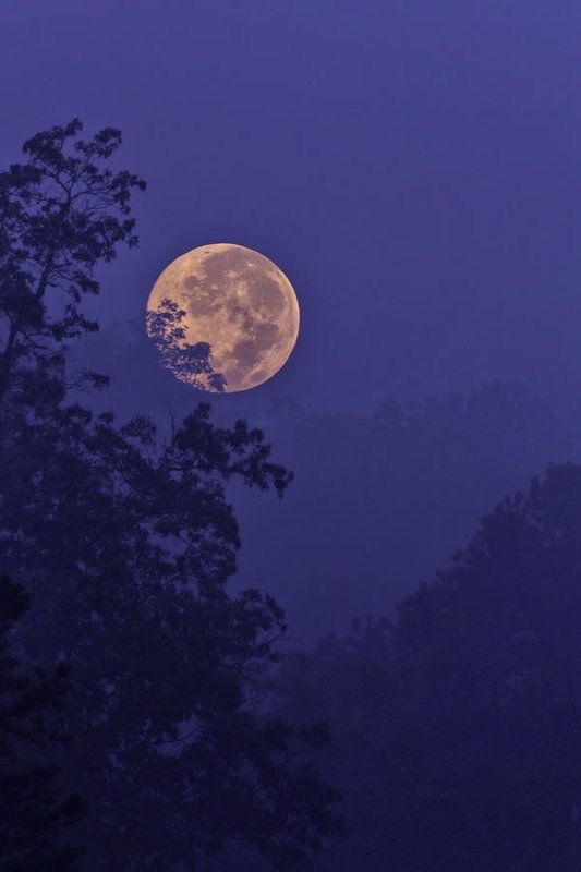 photo Moon Tumblr Aesthetic Deep Short Quotes moon quote on tumblr