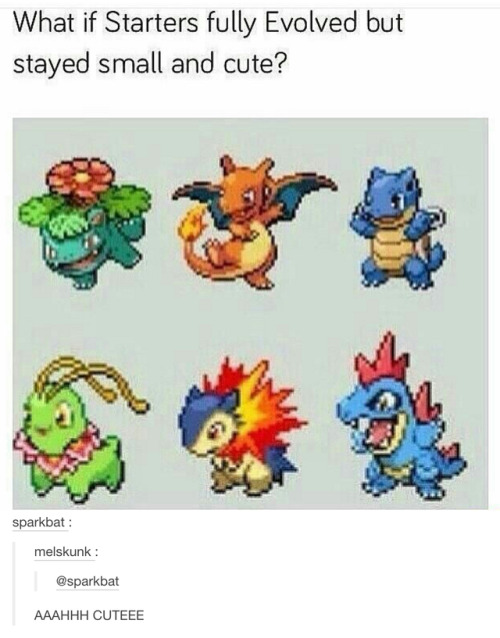 i-have-no-gender-only-rage:tumblr and pokemon