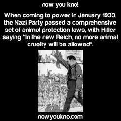 nowyoukno:  Source for more facts follow NowYouKno  And people say Nazis didn&rsquo;t do anything good.