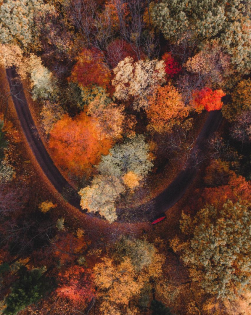 nubbsgalore:rivers and roads. rivers and roads. rivers till i reach you. (x, x, x, x, x, x, x, x, x, x)
