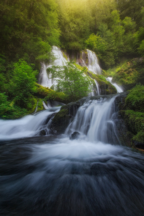 drxgonfly: Cold Toes (by Majeed Badizadegan)