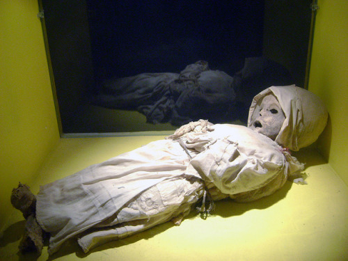 sixpenceee: El Museo De Las MomiasBecause of cholera outbreak in Mexico some naturall