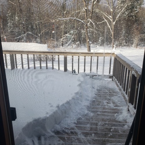 Got about a foot of snow last night. I hate shoveling my deck lol. #wisconsin #northwoods #snow #win