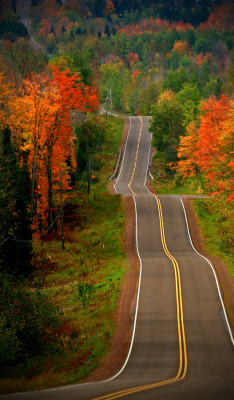 awesome-view:  Autumn in Northern Wisconsin