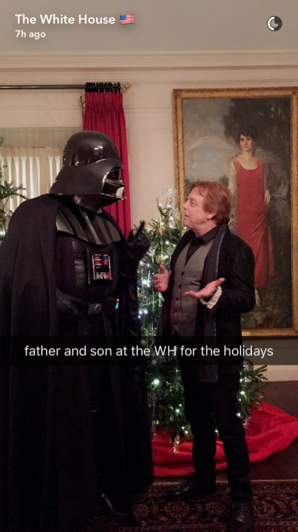 geekgirl101: christmasjedi:from The White House snapchat. Beside the portrait of Mrs. Coolidge. 