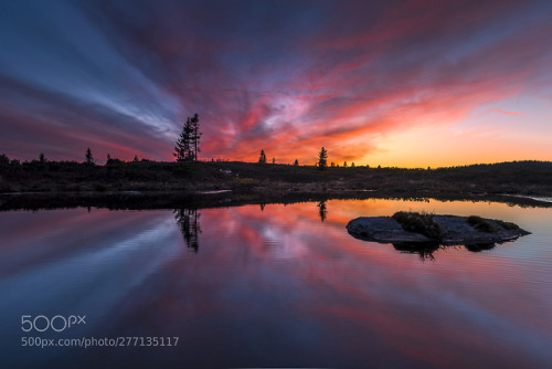 First frost by JrnAllanPedersen