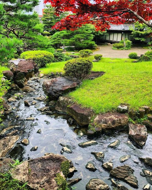 山水園庭園 [ 山口県山口市 ] ③ Sansuien Garden, Yamaguchi ーー京都の数寄屋師 #笛吹嘉一郎 と庭師 #後藤重栄 によって茶室・庭園が手掛けられた湯田温泉♨️の文化財宿