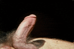 mydaddyishairy:  My Daddy is Hairy: Archive