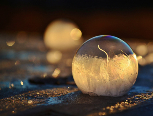 mymodernmet:  Each winter, when the temperature dips into the negatives, Washington-based photographer Angela Kelly takes advantage of the frigid weather and blows bubbles that freeze and form beautiful patches of ice crystals. The breathtaking results,