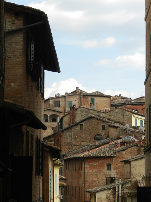 hergracesathenaeum: Streets - Siena e Florence, Italia