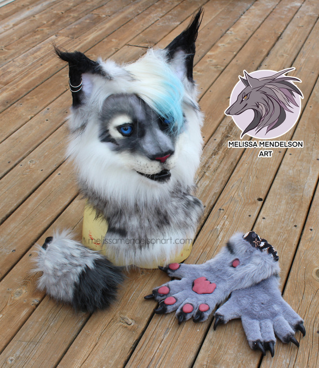 Fun lynx commission finished, Everett! This guy features a fun NFTech hair tuft and ear tufts, interior fan, earrings, 