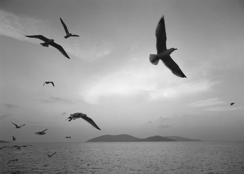 Turkey, Photo by Pentti Sammallahti, 2000