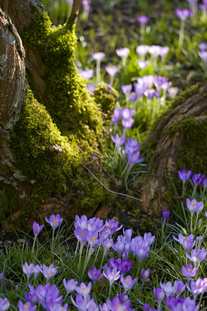 phantastrophe:
“Oxford, England | Photographer: Zoë Power
”