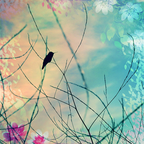 tumblr photo my-love-is-in-your-eyes 0