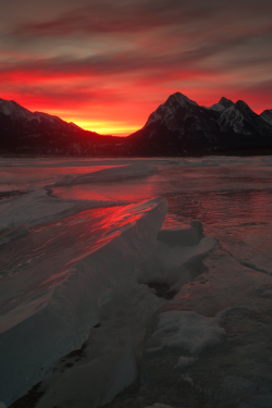 oecologia: Fire and Ice (Abraham Lake, Canada)