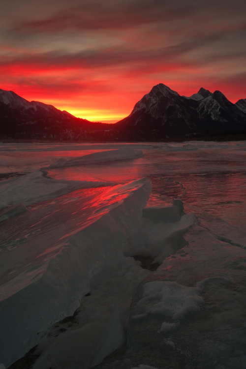 XXX oecologia: Fire and Ice (Abraham Lake, Canada) photo