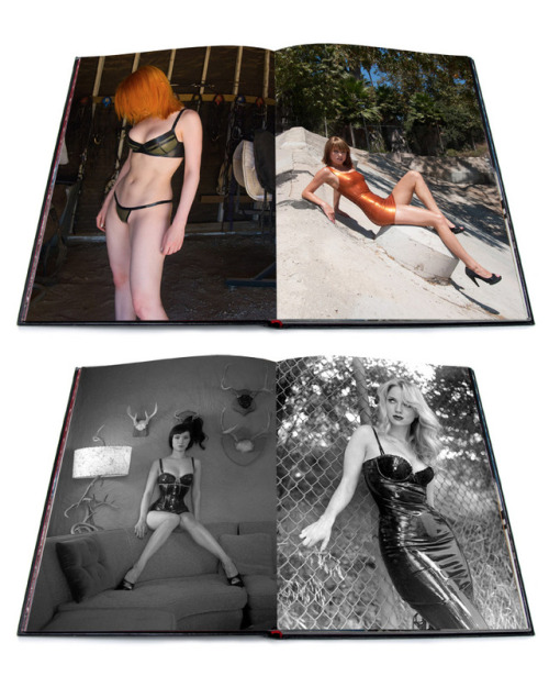 stevedietgoedde:HOLIDAY SALE! Lowest price ever for two days only! Signed copies of ’ARRANGEME