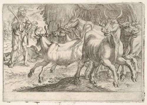 met-drawings-prints: Hercules and the Oxen of Geryones: with a club raised by his right hand, Hercul