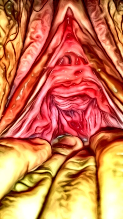 beachcouple525:  Awesome new photo filters! What do y'all think? 