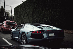 automotivated:  Aventador Roadster (by Marcel Lech)