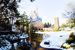 mickeyandcompany:  Snow at Tokyo Disneyland (x) 