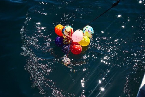 pascalshirley:Don’t let your balloons fly into the ocean. Once the color fades and they deflate sea creatures think they are squid and eat them. #dontpollute #savetheocean #pacificocean