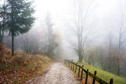 A walk in the fog