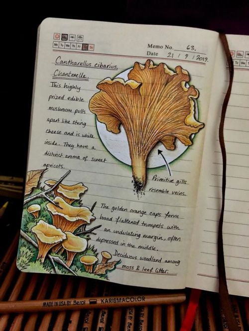 theonlymagicleftisart:Secrets of a Devon WoodJo BrownIf you enjoyed, consider purchasing a copy of t