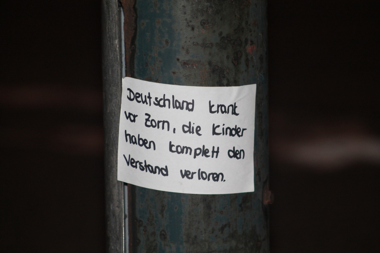 rap-verse:  deutschland krank vor zorn, die kinder haben komplett den verstand verloren.