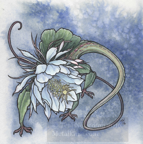 thedancingemu - Flower Creatures 5″x5″, watercolor/multimedia,...