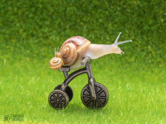 We are going cycling. ๐จ๐ฒ๐๐ ๅใใกใตใคใฏใชใณใฐใซ่กใใพใ๐จ ๐ฒ๐๐