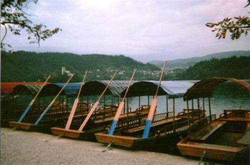 boats of Bled on 35mm
