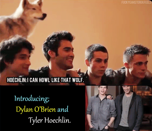 fuckyeahsterekfeels:  Eh, if they had their own sitcom I’d watch it. 
