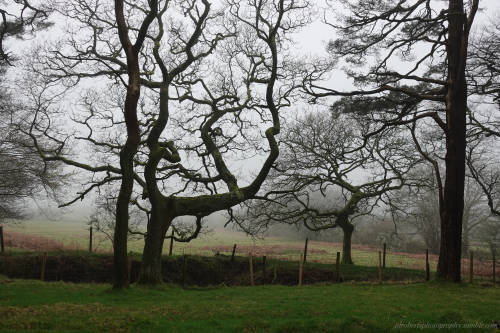 Dartmoor National Park UK