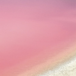 studiovq: Pink lakes filled with salt. The