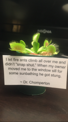 homestuck:  katschy:  loloftheday: Plant shaming He’s a doctor.   doctor shaming 