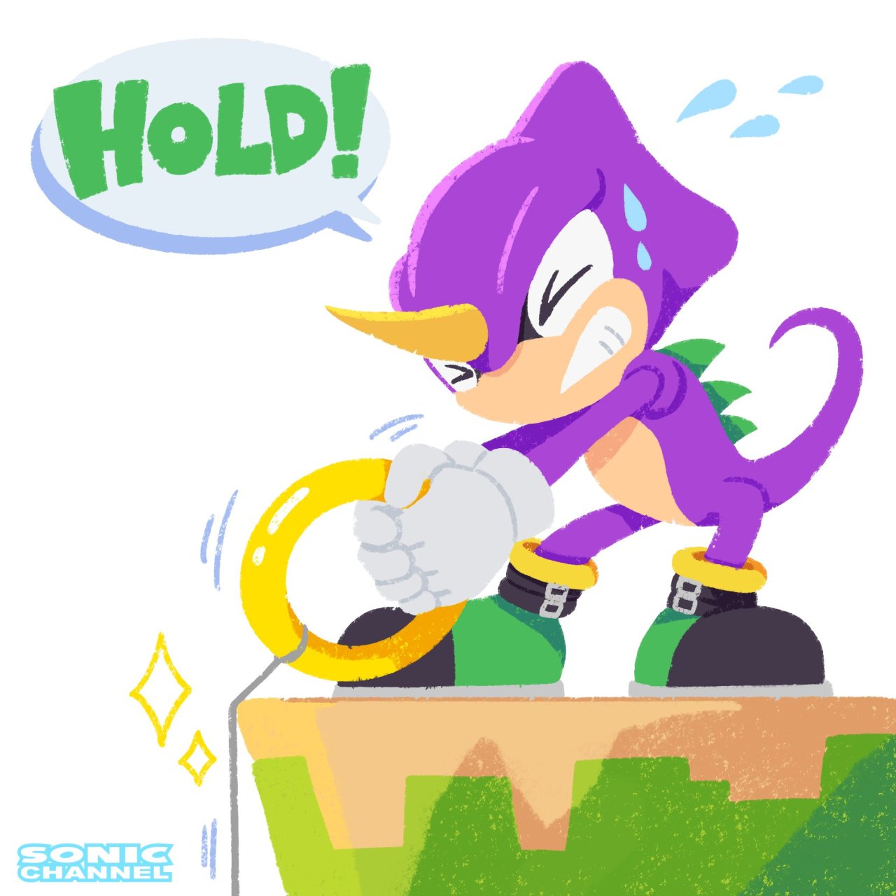 Chaotix, IDW Sonic Hub