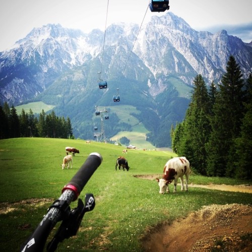 bikes-bridges-beer:  #Throwback to the #worldcup in #leogang. Beautiful Austria, but #milkaisthatyou