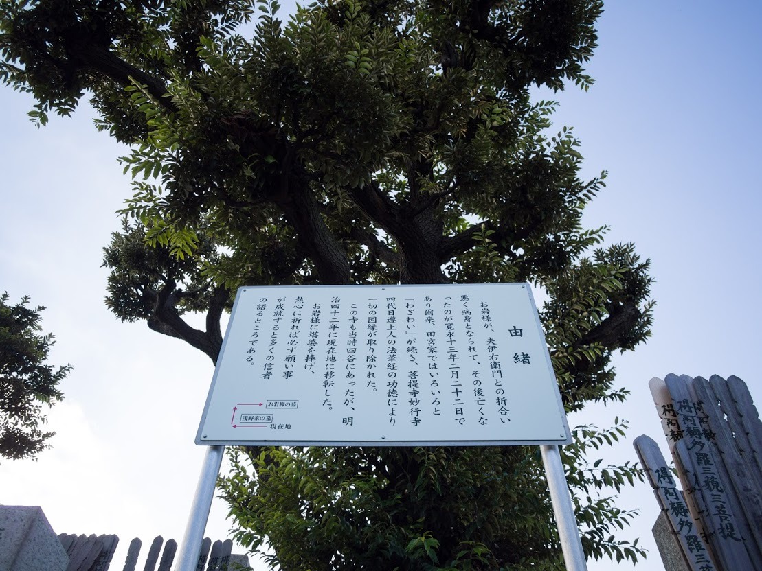 C Station お墓参り C Station お墓参り