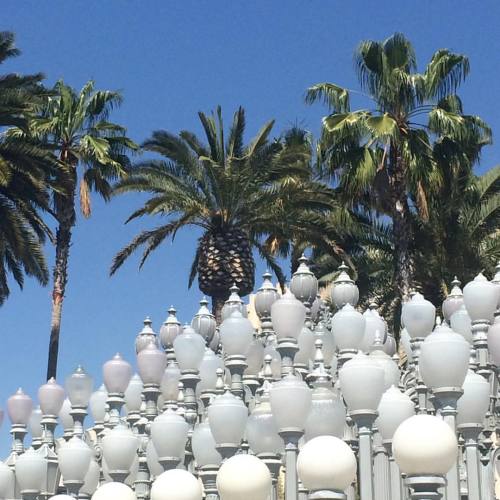 Some art inspiration in LA! Urban Light by Chris Burden. . #LACMA #la #urbanlight #chrisburden #art 