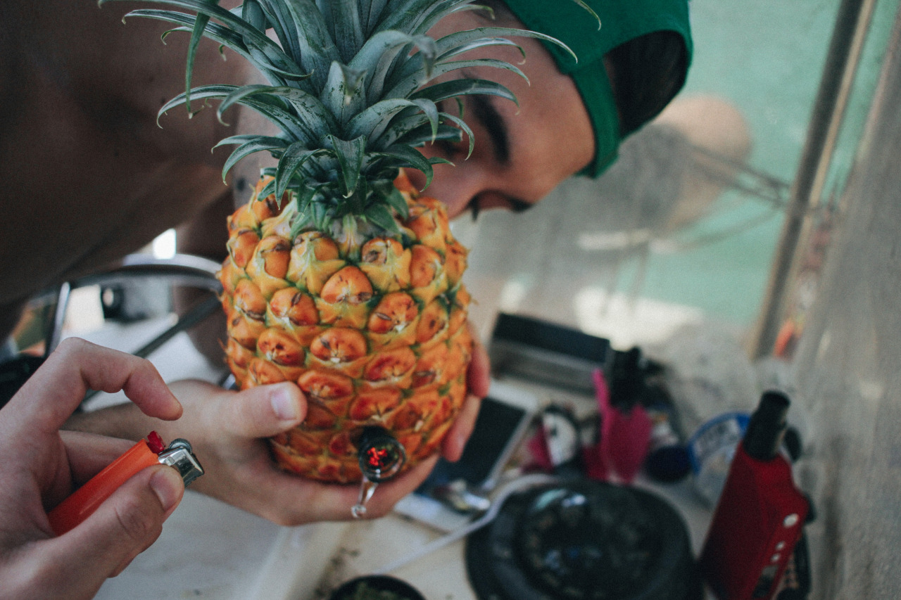 cityofpurple:  pineapples aren’t only for eating :)