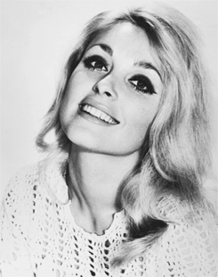  Sharon Tate photographed by Pierluigi Praturlon,