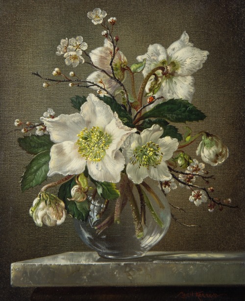 florealegiardini: Christmas Roses, Cecil Kennedy (British, 1905-1997)