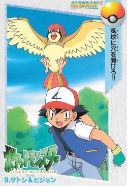 pokescans: Anime carddass card