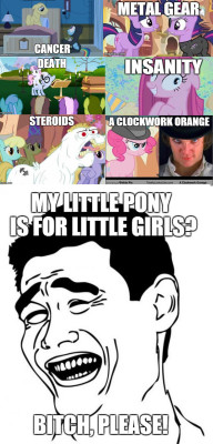 sir-cherry-fizzy:  just-random-ish:  mylittlepony4u:  Every time someone says MLP is just for little girls…http://mylittlepony4u.tumblr.com   Oh my   It’s time for those who say MLP is for girls to get their head out of their ass.