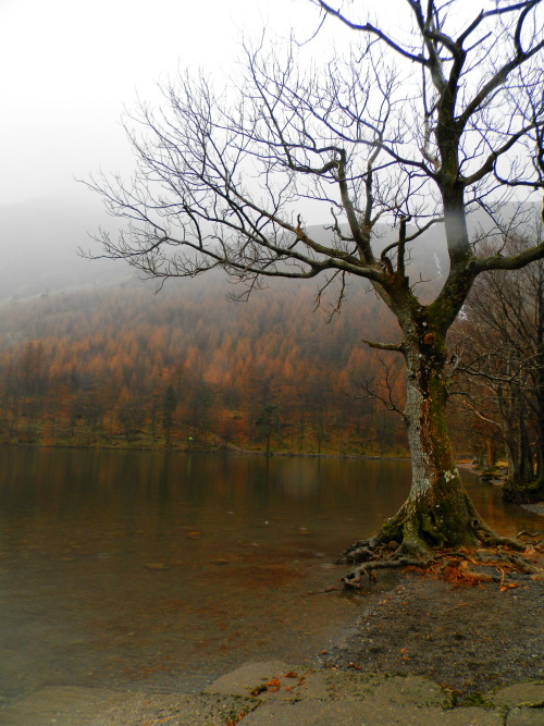 metal-mistress:Own.Lakeland in Winter