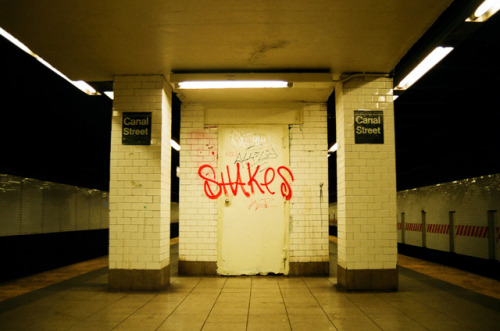 Canal Street Subway Station, 2017